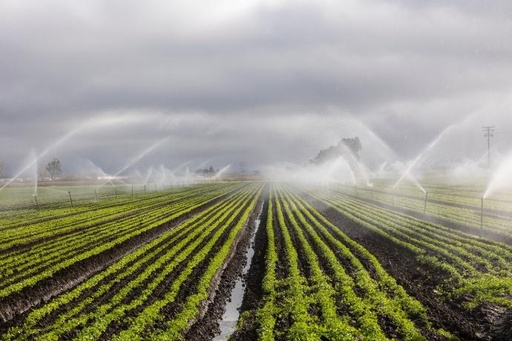 Design of Irrigation Systems
